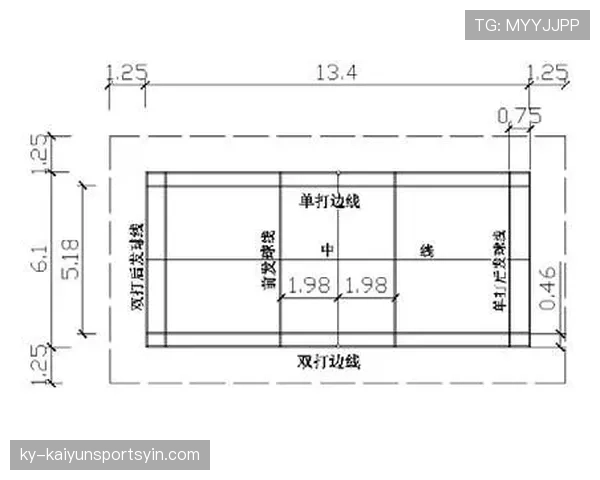 球场尺寸规则：国际赛与业余赛的标准与许可范围