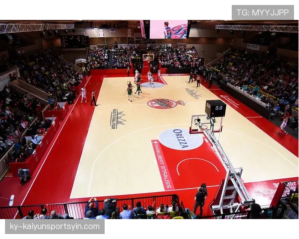 一次看懂：国际篮联和NBA干扰球规则的核心区别在哪？