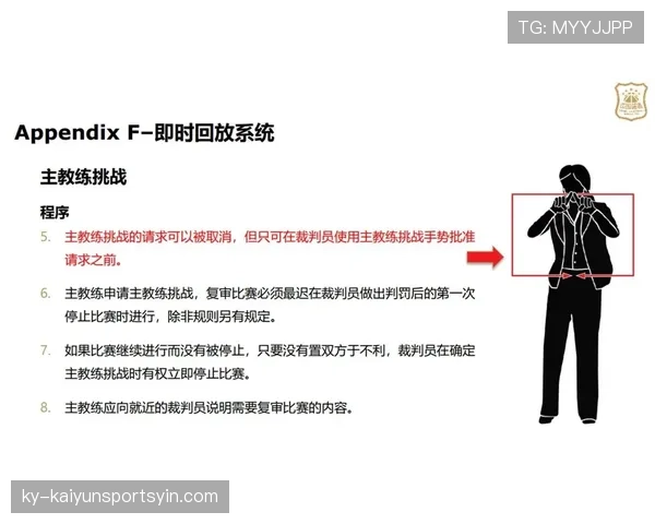 篮球规则深度解析：技术犯规如何界定